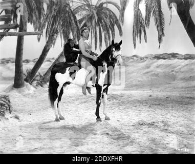 JOHNNY WEISSMULLER on Horseback with CHEETAH the Chimpanzee  in TARZAN'S DESERT MYSTERY 1943 director WILLIAM THIELE based on characters created by Edgar Rice Burroughs Sol Lesser Productions / RKO Radio Pictures Stock Photo