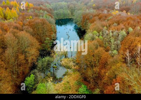 Unique lake in Hungary which name is Hubertlaki lake. It looks like Romanian killer lake but. Fantastic cinematic view in fall 2020. There are no othe Stock Photo