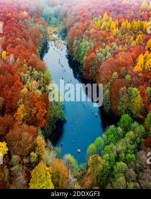 Unique lake in Hungary which name is Hubertlaki lake. It looks like Romanian killer lake but. Fantastic cinematic view in fall 2020. There are no othe Stock Photo