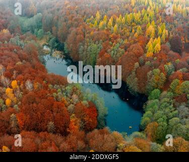 Unique lake in Hungary which name is Hubertlaki lake. It looks like Romanian killer lake but. Fantastic cinematic view in fall 2020. There are no othe Stock Photo