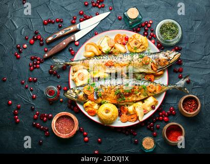 Delicious mackerel or scomber in apples and cranberry Stock Photo