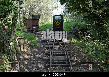 Former quarry tipper wagons and diesel loco on a private narrow gauge railway in Cumbria Stock Photo