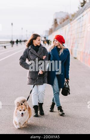 Two young women walking a corgi dog together outdoors Stock Photo