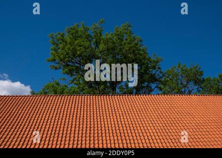Red tiled roof and green tree top against  a blue sky background. Stock Photo