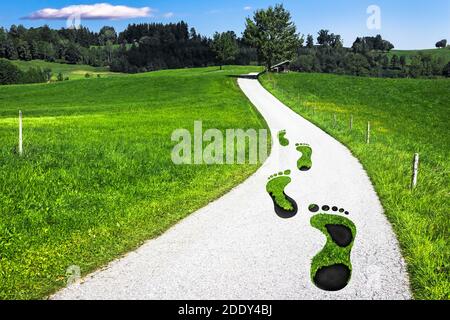 Black Footprints Overgrown by Green Grass on a Road in a Rural Landscape Stock Photo