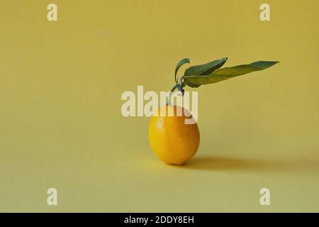 Isolated lemon on yellow background Stock Photo