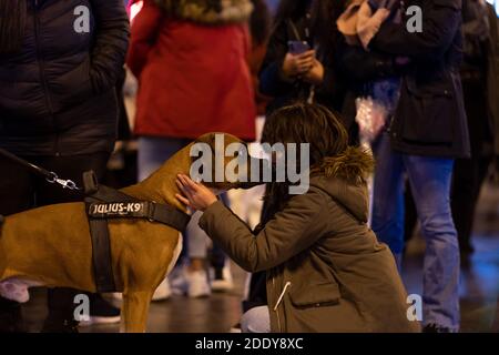 A kid with her pet at Puerta del Sol, Madrid's central square, waiting for the City Council to turn on the Christmas lights.Madrid officially starts the Christmas season by turning on 10.8 million LED lights throughout the capital. In total, there are more than 210 illuminated streets distributed throughout the 21 districts of the city of Madrid. The Community of Madrid proposed to the Spanish Ministry of Health a plan for Christmas, in which family and social gatherings are with a maximum of 10 people from three different groups of partners. Also on December 24, 25, 31 and January 1 and 6, a Stock Photo