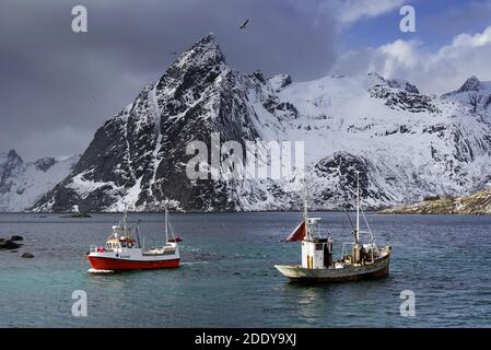 Norwegian landscape near Reine Resort in Lofoten Archipelago, Norway, Europe Stock Photo