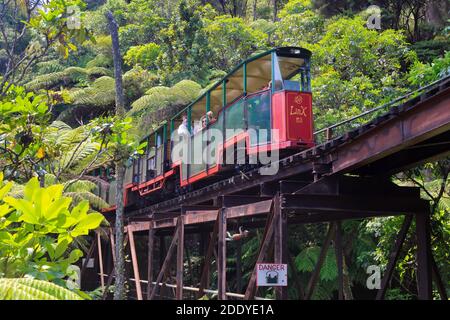 Driving Creek Railway, a tourist attraction on the Coromandel Peninsula, New Zealand. A colorful rail car crosses a bridge Stock Photo