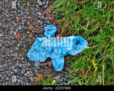 Blue rubber nitrile gloves used for COVID-19 PPE protection, discarded as litter by the side of a road on a country lane. Stock Photo