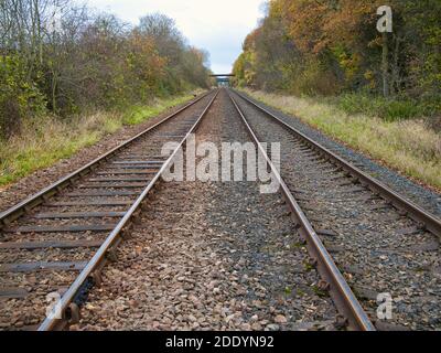 The tracks of two railway lines converge into the distance on an autumn day. Taken on Wirral in the north west of the UK. Stock Photo