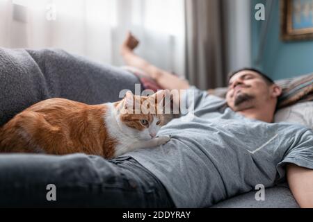 white and brown cat lying on top of a young man stretching his arms after sleeping Stock Photo