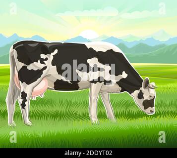 A cow is grazing in a pasture. Vector landscape. Black and white breed. Meadow grass. Rural rustic view. Mountains, sky and sun in the distance Stock Vector