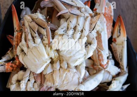 close up Fresh Streamed crab is ready to eat on the local restaurant  table. Stock Photo
