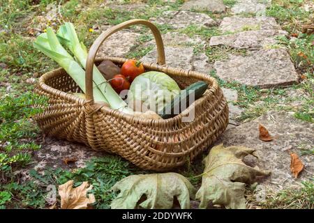 Vegetables from a farm in a wicker basket: leeks, zucchini, beetroot, tomatoes,  carrots, potatoes on a stone path. Stock Photo