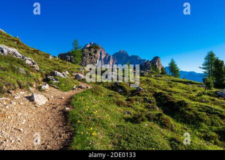 Dirt road and hiking trail track in Dolomites mountain, Italy, in Bolzano, South Tyrol, Northwestern Dolomites, Italy. Stock Photo