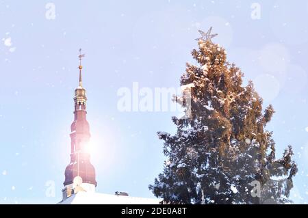 Christmas tree at Town Hall Square in Tallinn, snowy winter day in Tallinn, Estonia