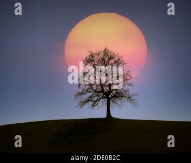 DE - BAVARIA: Autumnal Sunset near Wolfratshausen Stock Photo