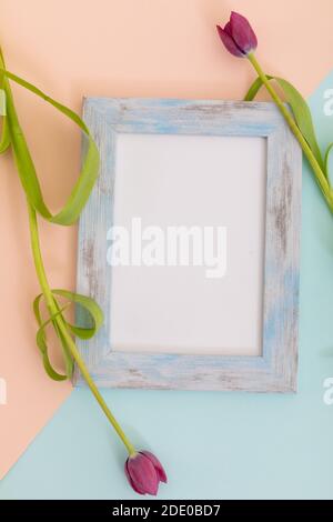 Rustic wooden frame with white background and pink tulips on blue and orange Stock Photo