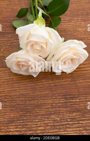 Close up of three white roses lying on wooden background Stock Photo
