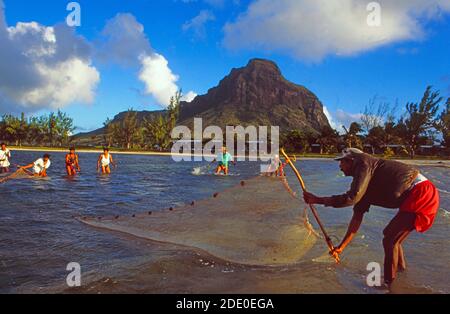 Mauritius: Fishermen pulling in their fishernet at the beach underneath of Mount Brabant