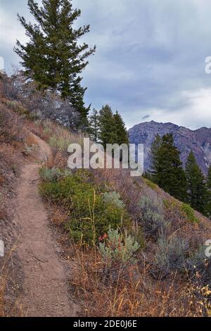 Provo Peak hiking trail mountain landscape scenic view, towards Slide Canyon, Slate Canyon Rock Canyon and Squaw Peak Road, Wasatch Rocky mountain Ran Stock Photo