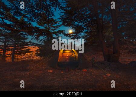 Beautiful Night View on a Tent among Cedar Forest in the Mountains. Enjoying Autumn Moonlight in the Camping. Peace and Relaxation Concept. Lebanon Stock Photo