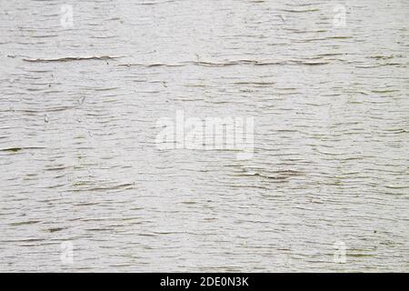 White paited old wood texture or background Stock Photo