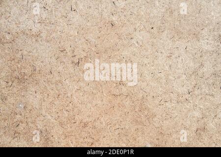 Wood texture close up Stock Photo