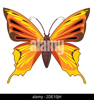 Orange butterfly. Bright beautiful composition. Isolated object on white. Vector. Stock Vector