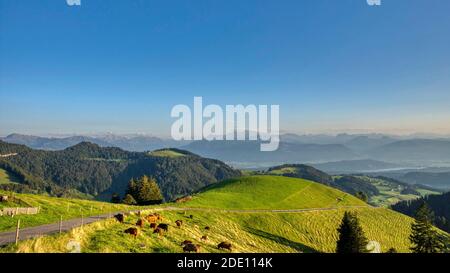 View of Alp Scheidegg and the mountains of Glarus. Picture taken in the Zurich Oberland. Beautiful hills and mountain scenery. Fantastic foresight. Stock Photo