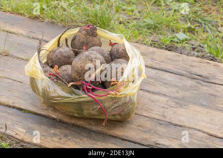 Beetroot on wooden background in a bag. The benefits of beetroot concept Stock Photo