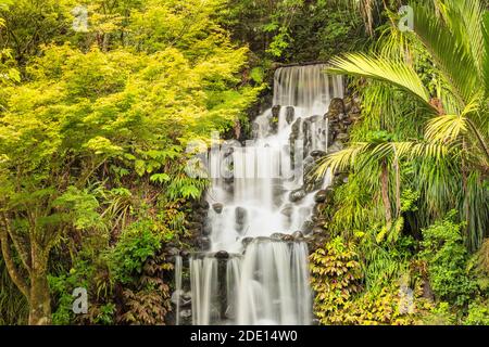 Waterfall in Pukekura Park, botanical garden, New Plymouth, Taranaki, North Island, New Zealand, Pacific Stock Photo