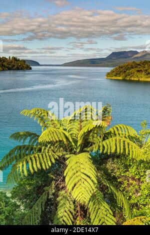 Lake Tarawera, Rotorua, North Island, New Zealand, Pacific Stock Photo