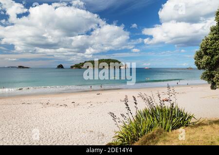 Hahei Beach, Coromandel Peninsula, Waikato, North Island, New Zealand, Pacific Stock Photo