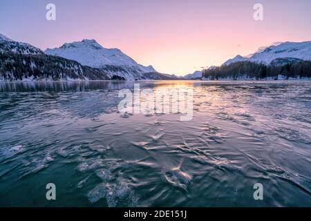 Tree branches trapped in ice under the frozen surface of Lake Sils at sunset, Engadine, Graubunden canton, Switzerland, Europe Stock Photo
