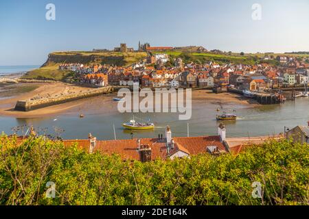 View of Whitby Abbey, St. Mary's Church and Esk riverside houses, Whitby, Yorkshire, England, United Kingdom, Europe Stock Photo