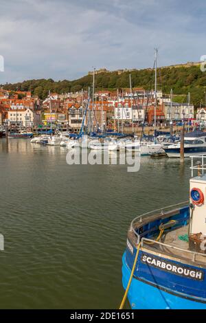 View of old harbour below Castle Hill, Scarborough, North Yorkshire, Yorkshire, England, United Kingdom, Europe Stock Photo