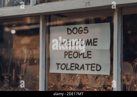 Dogs welcome people tolerated sign on a window of a shop in Rye, East Sussex, UK, selective focus. Stock Photo