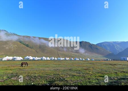 A grazing horse and Mongolian tents on the grasslands of the Kanas Nature Reserve, northern Xinjiang, China Stock Photo
