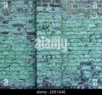 Weathered old wall covered in green algae growth for use as background Stock Photo