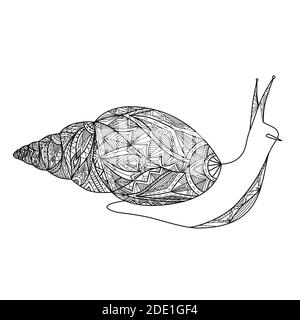 Contour illustration of a snail with boho pattern and red watercolor ...