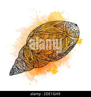 Black contour illustration of a seashell with boho pattern. Snail shell ...