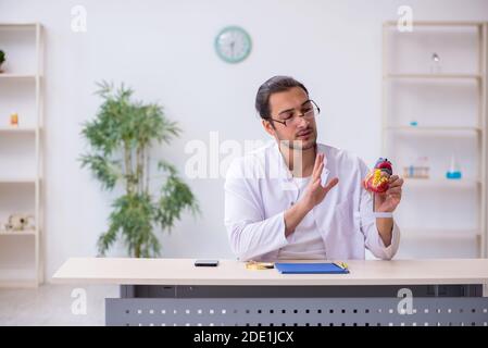 Young cardiologist explaining human heart structure Stock Photo