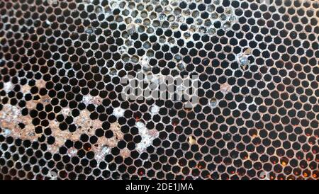 Full frame bee keeping honeycomb after season with bees in situ Stock Photo