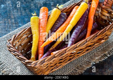 Baby rainbow carrots in a basket Stock Photo