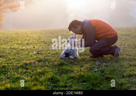 Man caressing border collie blue merle puppy holding with hands its head so their noses are touching, side view, showing affection Stock Photo