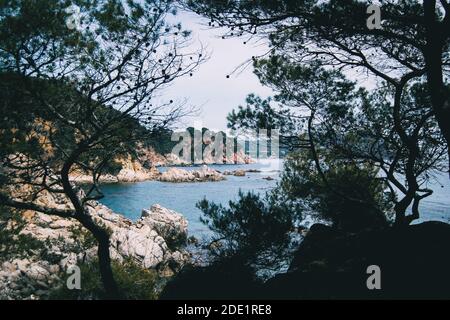 Landscape of a steep coast framed by some tree silhouettes in the wild Stock Photo