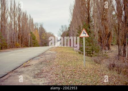 Warning sign when urban road enters forest. Roadsign is in fall colors. Chernobyl road in exclusion zone. Radioactive zone in Pripyat city - abandoned Stock Photo