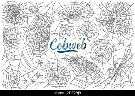 Hand drawn spider and web. Cobweb and spider, symbols of horror danger doodle set background Stock Vector